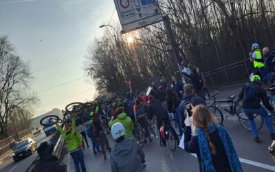 Critical Mass, ribellarsi è generativo