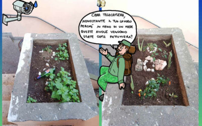 Sono un volontario, faccio guerrilla gardening